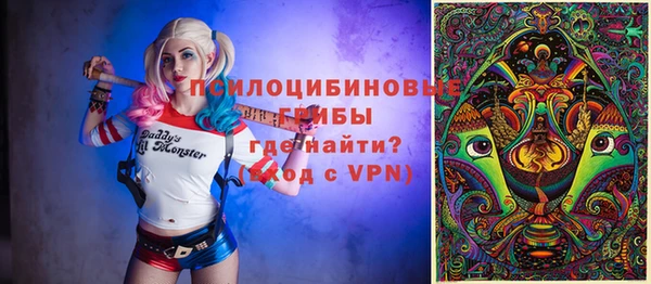 тгк Аркадак