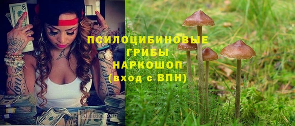 альфа пвп Армянск