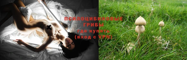 тгк Аркадак