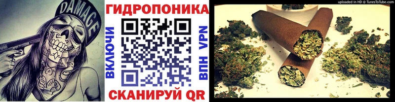 Шишки марихуана планчик  Курлово 